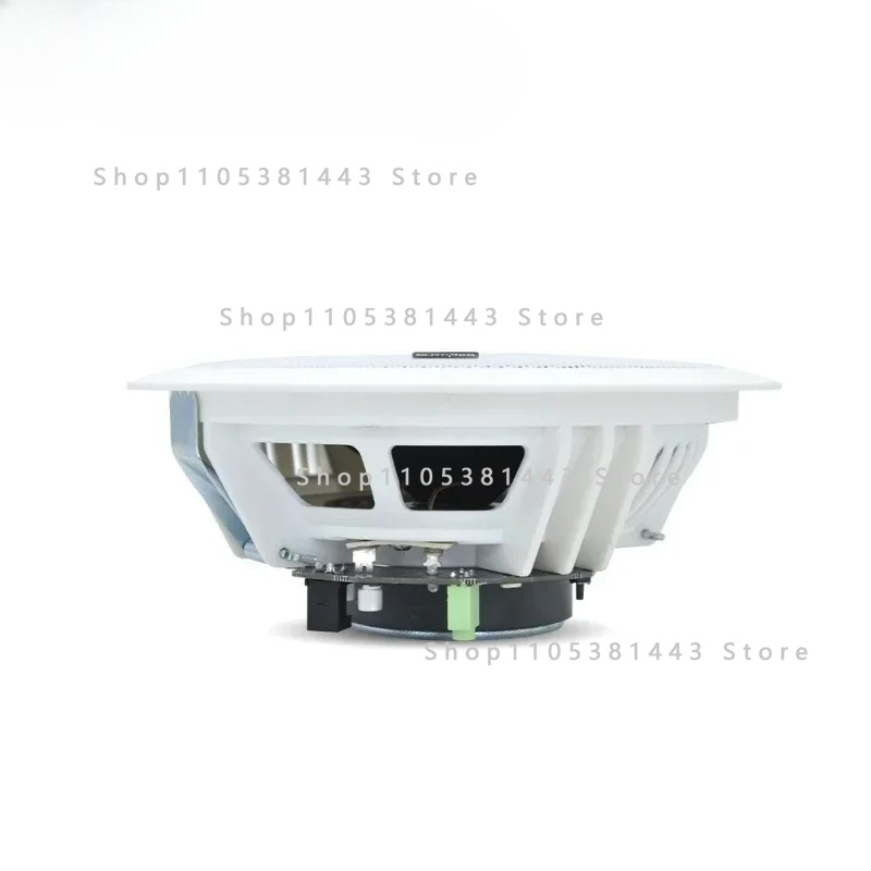 Home Cinema Plafond - Haut-parleur Bluetooth actif et filaire pour