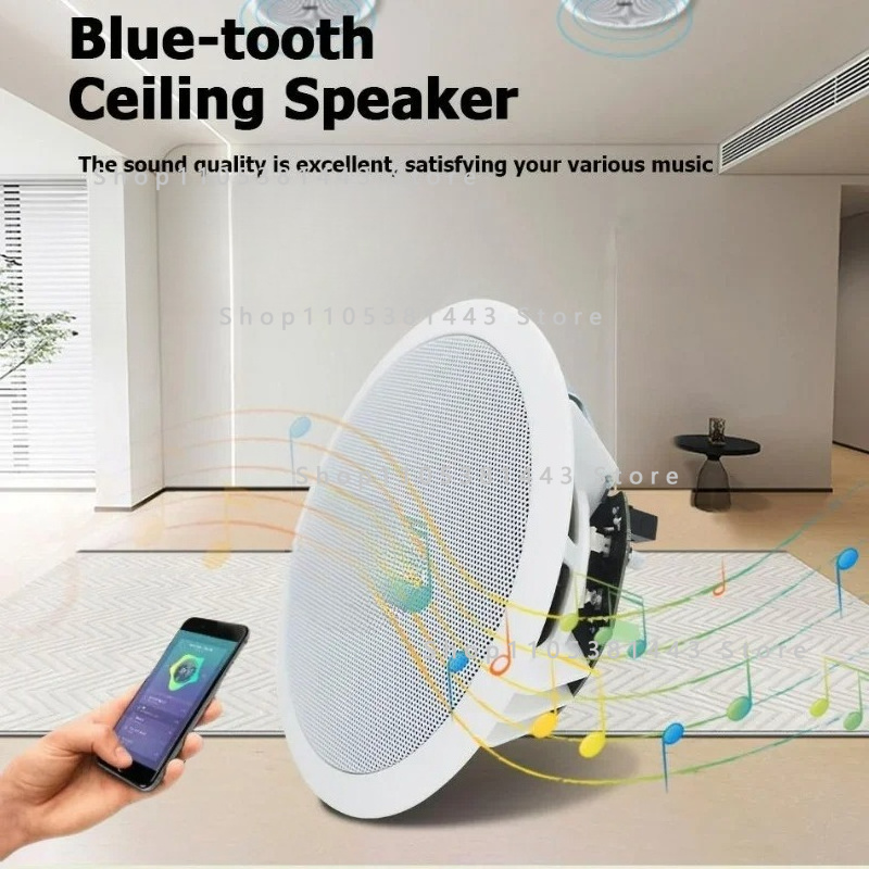 Home Cinema Plafond - Haut-parleur de plafond actif et filaire