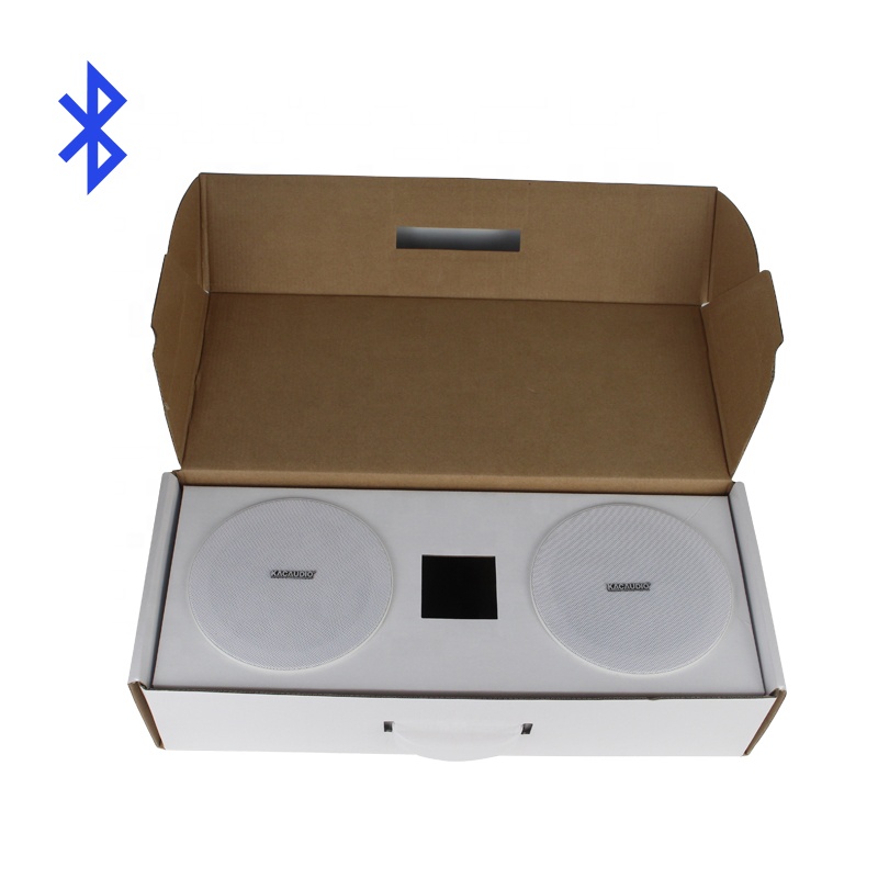 Paire d'enceintes de plafond B - Home Cinema Plafond avis et prix