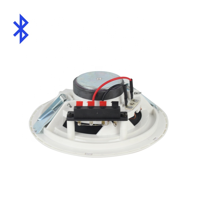 Paire d'enceintes de plafond B - Home Cinema Plafond avis et prix