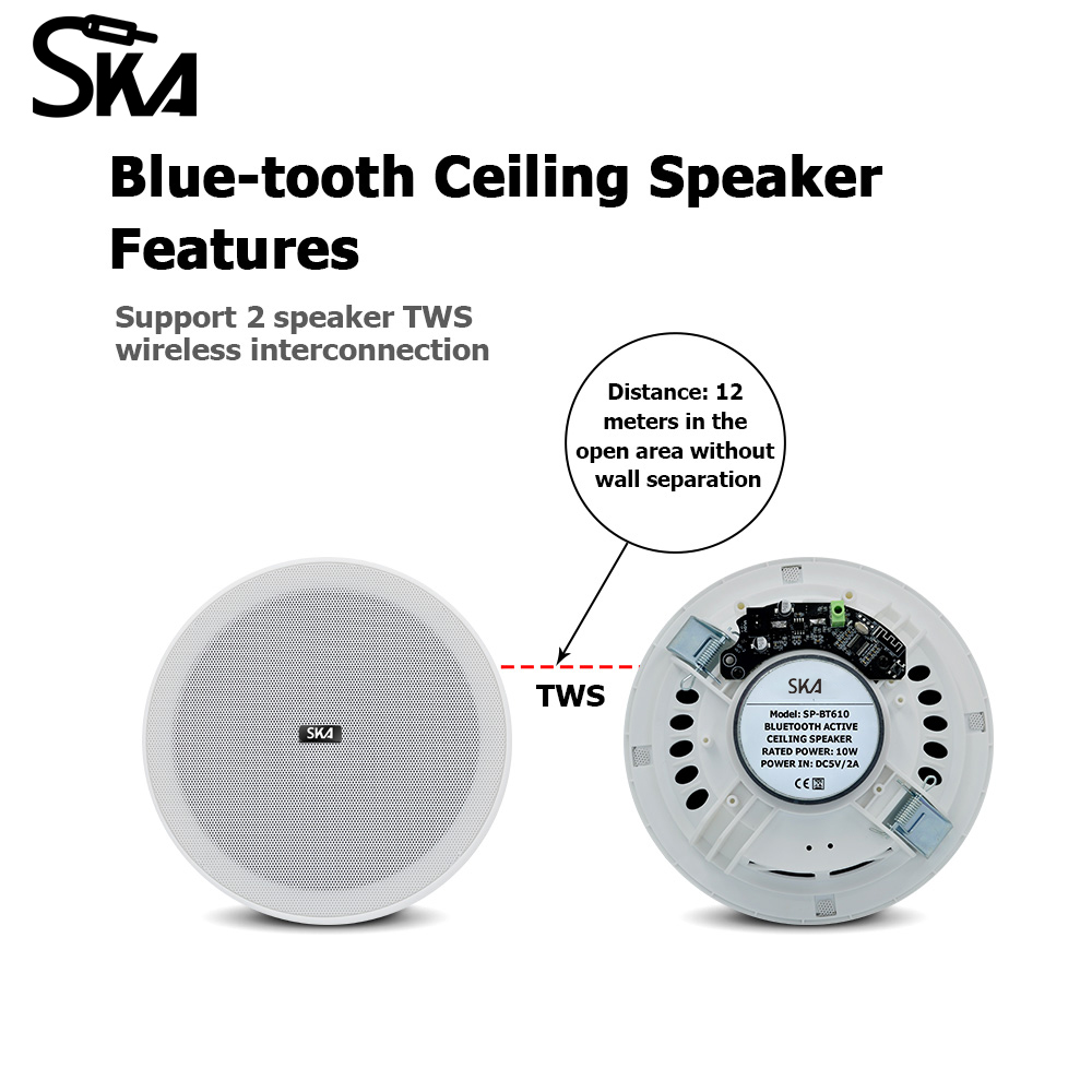 Haut-parleur Bluetooth Encastr - Home Cinema Plafond avis et prix