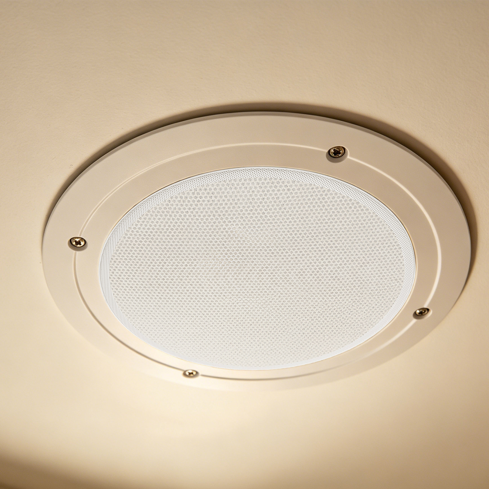 Grille de protection universel - Home Cinema Plafond avis et prix