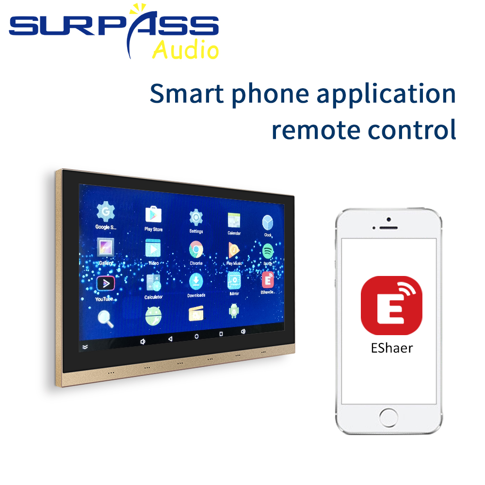 MSPW1825 + C525F WiFi amplific - Home Cinema Plafond avis et prix