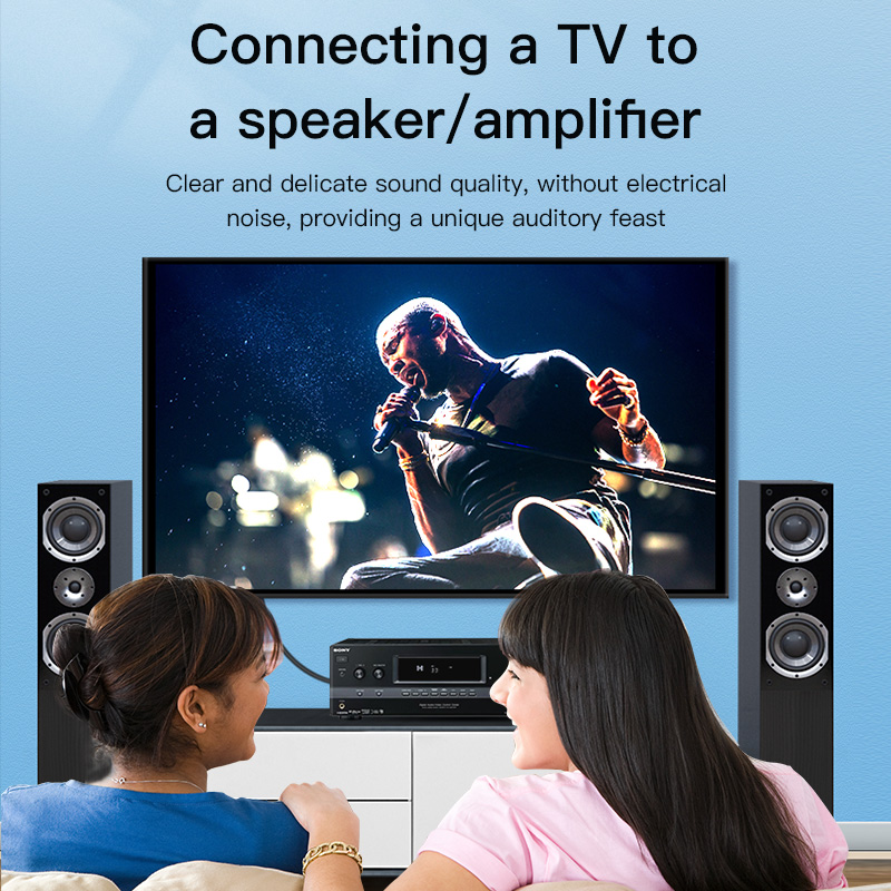 Câble RCA CHOSEAL, câble audio - Home Cinema Amplifier avis et prix